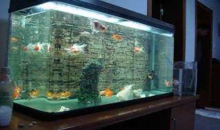 鱼缸摆放风水 家庭装修鱼缸摆放风水