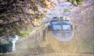 现在坐火车都需要注意什么（现在坐火车需要注意什么防护）