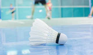 一个羽毛球上一般有几只羽毛 一打羽毛球有几个羽毛球