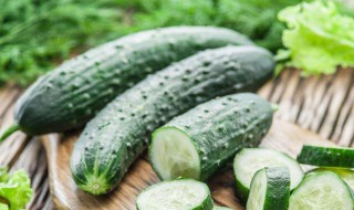 黄瓜酸奶减肥方法 酸奶黄瓜减肥吗