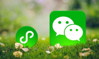 微信小商店从哪里看 如何查看微信小商店