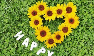 发朋友圈的短句子（适合发朋友圈的短句子）