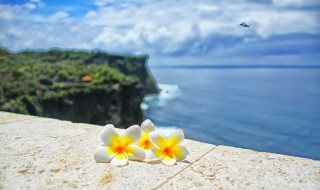 拍风景照小技巧（拍风景照的技巧）