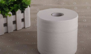 怎么用卫生纸做洗手巾（可以洗手的纸巾怎么做）