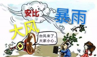 台风来了要怎么防范 台风来了有什么防范措施