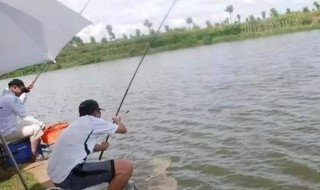 最简便的钓鱼方法（最简便的钓鱼方法是什么）