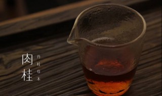 肉桂的正确泡水方法（肉桂的正确泡水方法图片）