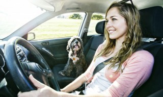 上高速晕车怎么解决 开车上高速晕车怎么回事