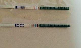 验孕纸怎么看（验孕纸怎么看是否怀孕 显示）