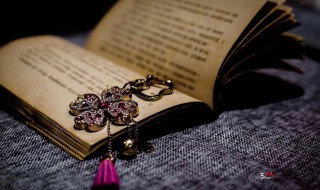 娘惹是啥意思（娘惹是啥意思天气预报翠月湖）