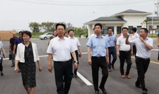 老师开学第一天穿什么衣服得体 老师开学第一天穿什么衣服得体检