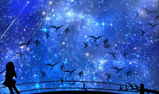 人类还有希望吗是啥梗 人类真的还有希望吗表情包