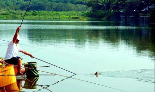 夏季野钓实用技巧（夏季野钓实用技巧图解）