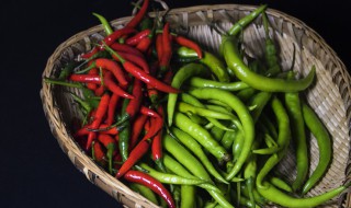 种小米辣的方法（小米辣怎么栽种）