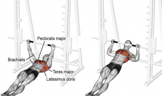 关于后背的运动方法（后背怎么运动）