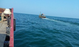 海洋捕鱼的方法 海洋捕鱼的方法有哪些