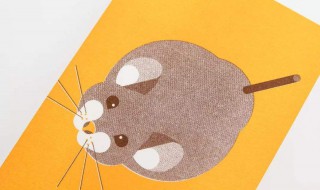 治老鼠的新方法 治老鼠的新方法有哪些