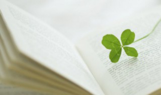 充满阳光的句子文案（关于阳光的文案短句）