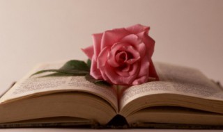 对生活感悟的美文摘抄 对生活感悟的美文摘抄初中