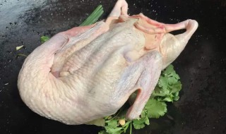 鸭子拔毛的好方法（鸭子拔毛的好方法图片）