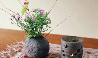 插花的方法 插花的方法说明文