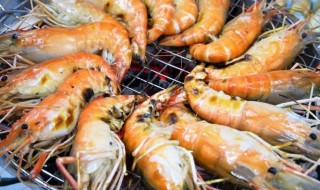 活虾运输的方法 活虾怎样运输