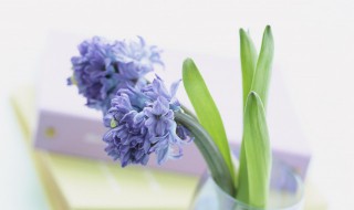 短句霸气激励人心押韵 励志短句押韵霸气