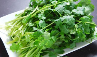 快速切香菜的方法 快速切香菜的方法视频