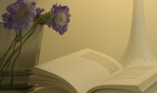 正能量清新文艺的句子（正能量清新文艺的句子古风抗击疫情）