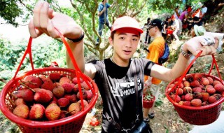 摘水果的最佳方法 摘水果的最佳方法图片