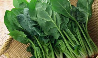 挑菠菜的正确方法（怎样挑菠菜）