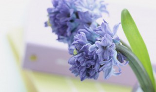 干净温柔签名短句 温柔的签名句子短句