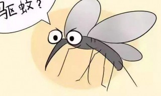蚊子家庭消灭的简单方法（家里蚊子如何消灭）