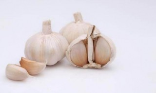 大蒜驱蚊最简单方法（大蒜驱蚊最简单方法图片）