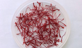 喝藏红花要忌口什么（喝藏红花有什么要忌口的）