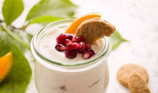 自己做酸奶用什么菌好（自己做酸奶用什么菌好吃）