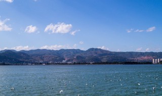 昆明哪些地方好玩（昆明哪些地方好玩风景区）