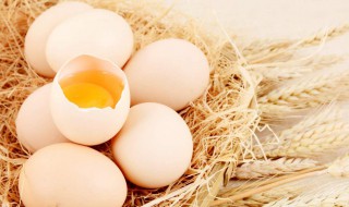 梦见捡鸡蛋 梦见捡鸡蛋是什么意思