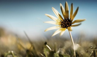 很霸气的句子（形容女人走路姿势很霸气的句子）