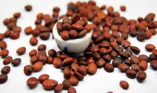 酸枣仁和柏子仁功效 酸枣仁和柏子仁功效异同点