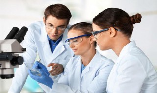 氨基酸主要功效与作用（氨基酸主要功效与作用及副作用）