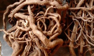 酸藤根的功效与作用（酸藤果根的功效与作用根）