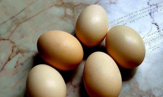 熟鸡蛋能放几天（煮的熟鸡蛋能放几天）