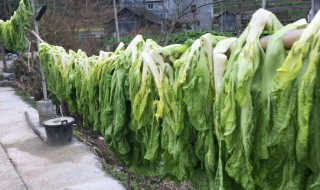 大量蔬菜要怎么保存（大量蔬菜如何储存）