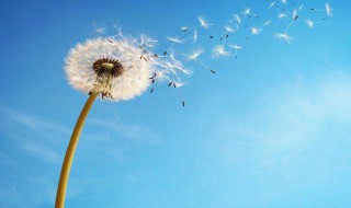 教师节的句子感谢老师的 教师节感谢老师的几句话