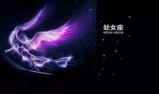 处女座男和什么座最配对（十二星座的最佳配对表）