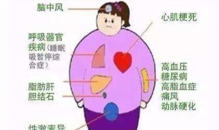 减肥不掉秤的十大原因（体重卡在一个点减不下去）