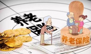 养老保险可以退吗（个人养老保险可以退吗）