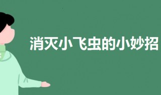 家里有小飞虫怎么消灭 家里总有小飞虫怎么办找不到原因