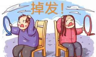 熬夜脱发怎么恢复（熬夜脱发怎么恢复去问百达英不错）